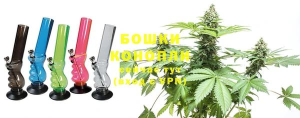 спиды Бородино