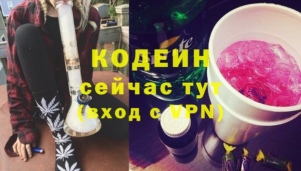 спиды Бородино