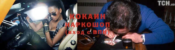 спиды Бородино
