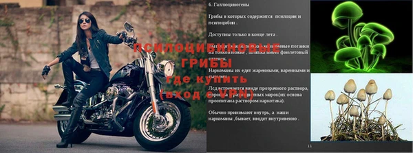 спиды Бородино